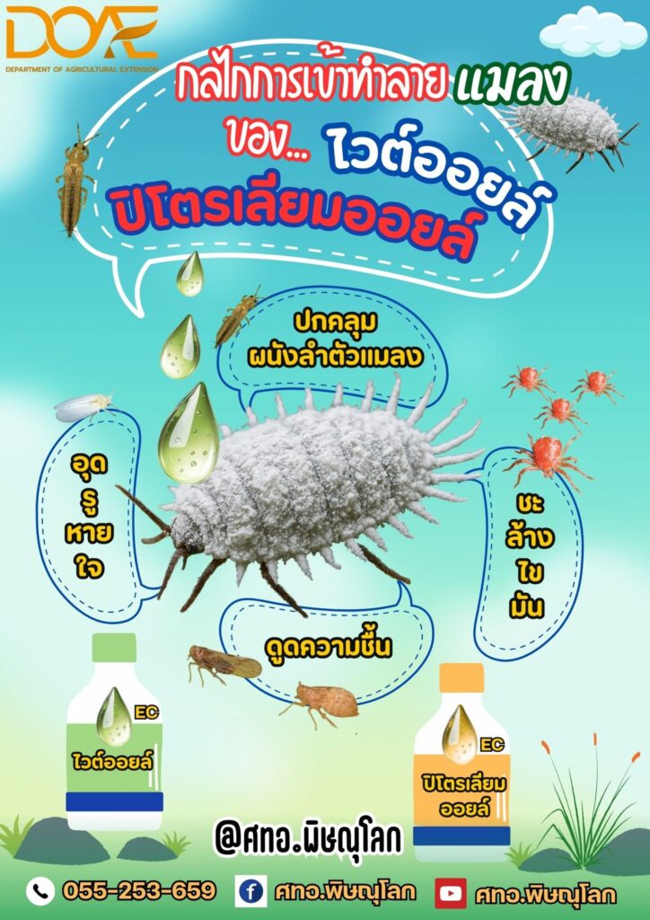 กลไกการเข้าทำลายแมลงของ..ไวต์ออยล์และปิโตรเลียมออยล์ กลไกการเข้าทำลายแมลงของ..ไวต์ออยล์และปิโตรเลียมออยล์