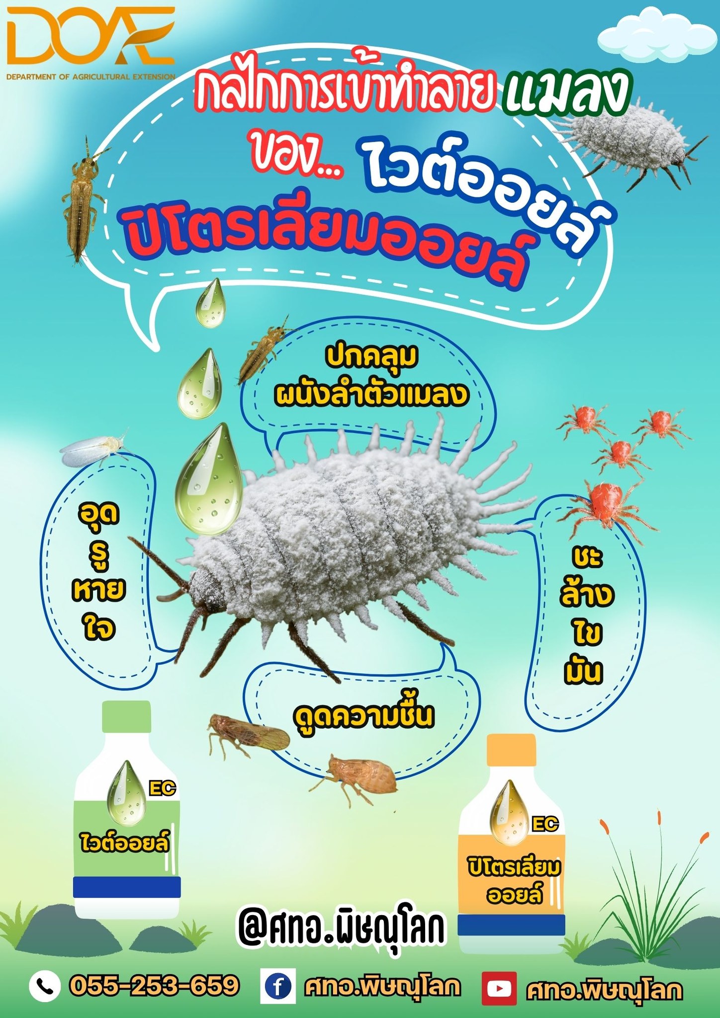 ข่าวประชาสัมพันธ์​