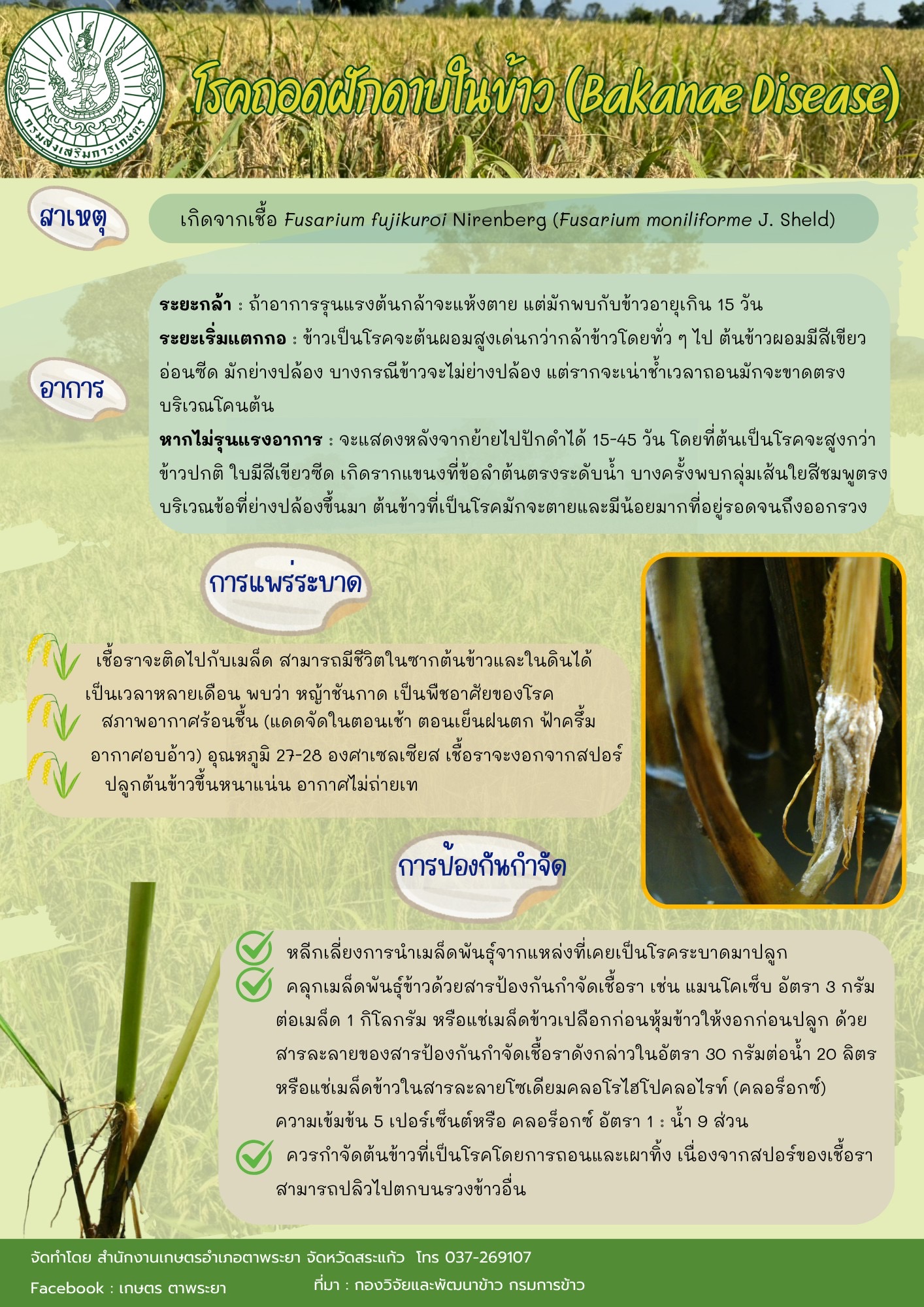 ศูนย์วิทยบริการเพื่อส่งเสริมการเกษตร - version - 2