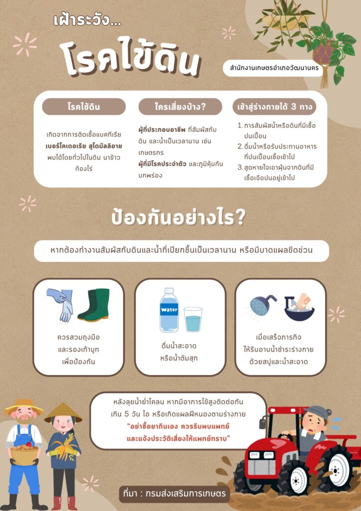 โรคไข้ดิน โรคไข้ดิน