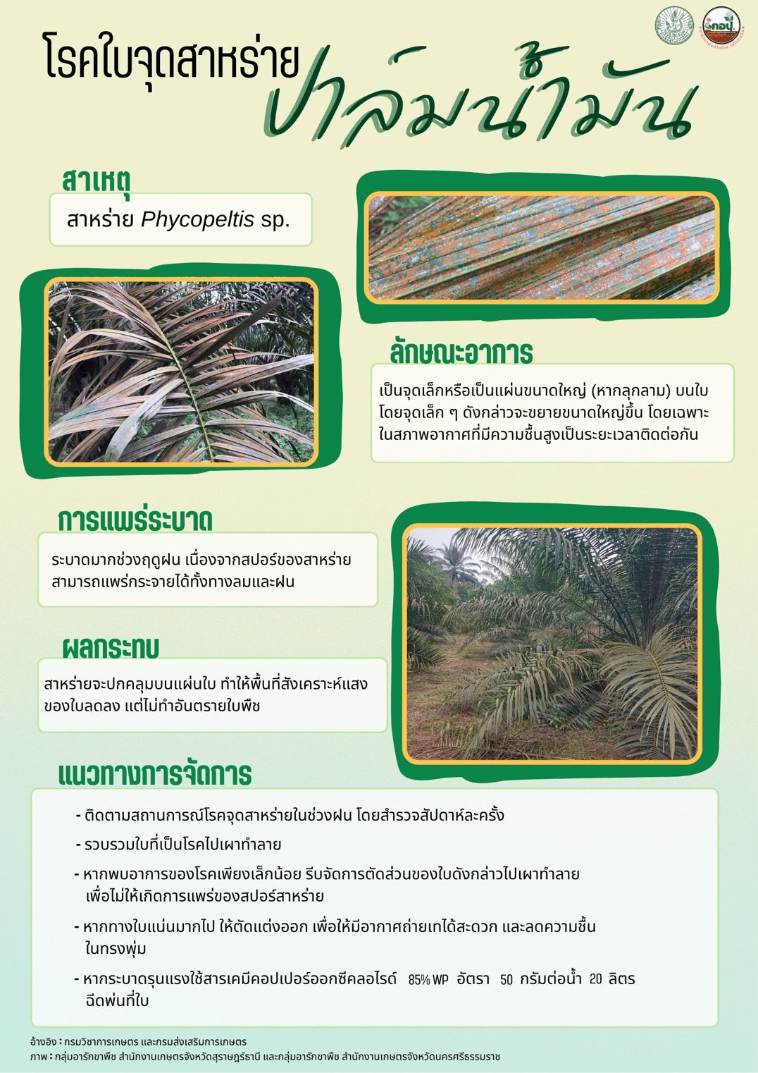ศูนย์วิทยบริการเพื่อส่งเสริมการเกษตร - version - 2