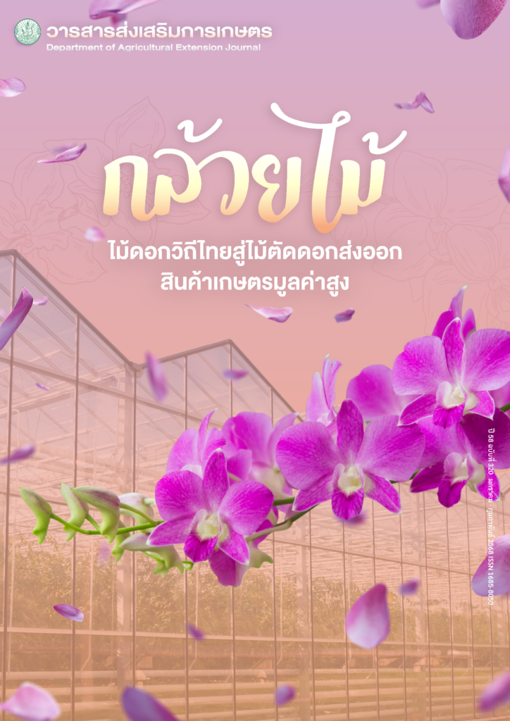 วารสารส่งเสริมการเกษตร ปีที่ 58 ฉบับที่ 320 (มกราคม – กุมภาพันธ์ 2568) วารสารส่งเสริมการเกษตร ปีที่ 58 ฉบับที่ 320 (มกราคม – กุมภาพันธ์ 2568)