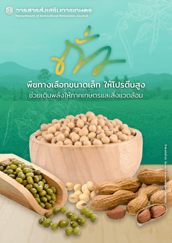 วารสารส่งเสริมการเกษตร ปีที่ 58 ฉบับที่ 321 (มีนาคม – เมษายน 2568) วารสารส่งเสริมการเกษตร ปีที่ 58 ฉบับที่ 321 (มีนาคม – เมษายน 2568)