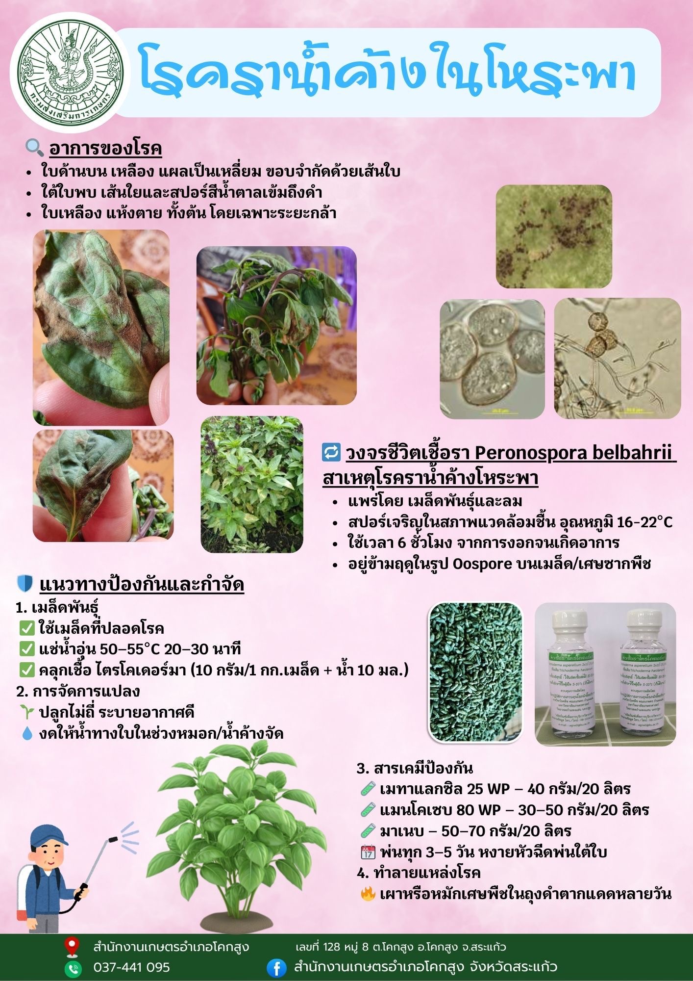 ศูนย์วิทยบริการเพื่อส่งเสริมการเกษตร - version - 2