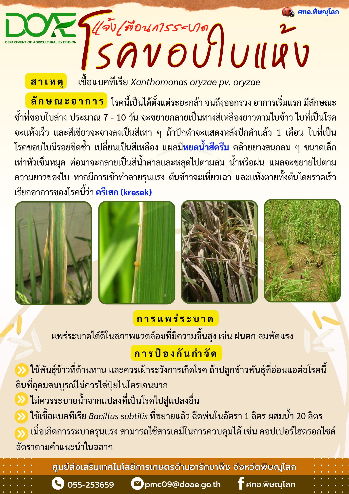 ศูนย์วิทยบริการเพื่อส่งเสริมการเกษตร - version - 2