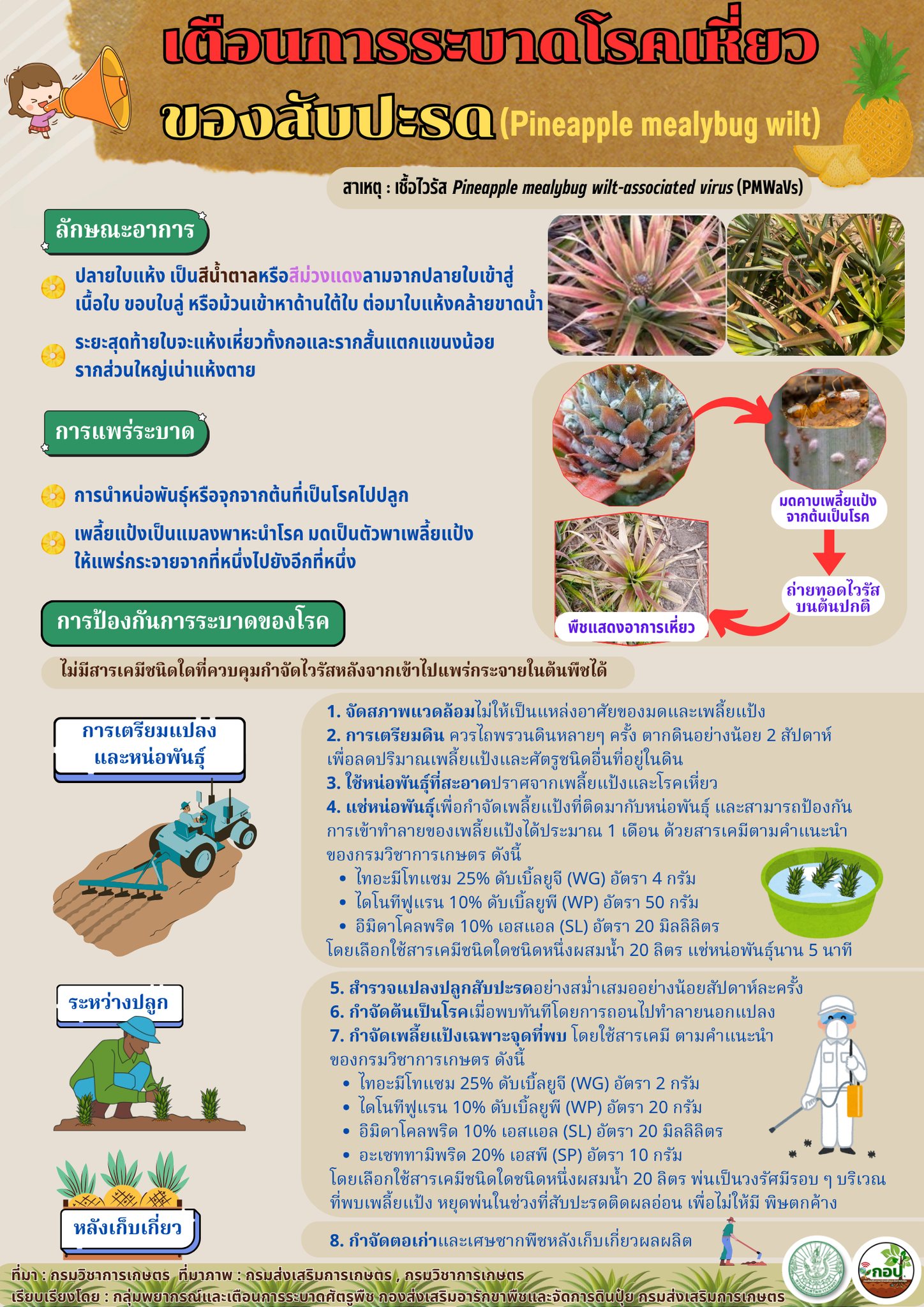 โรคเหี่ยวสับปะรด โรคเหี่ยวสับปะรด