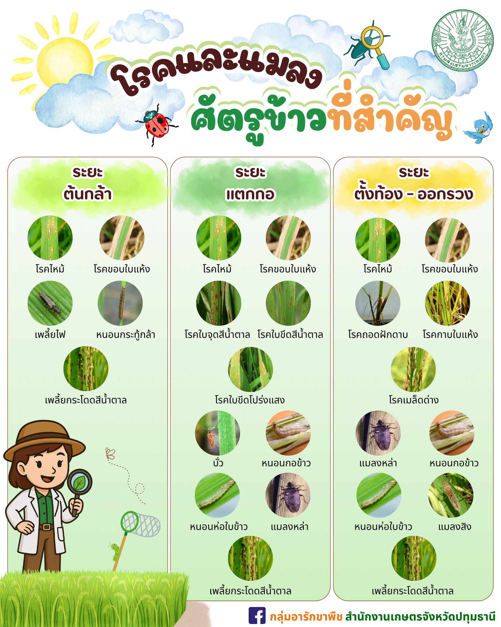 ศูนย์วิทยบริการเพื่อส่งเสริมการเกษตร - version - 2