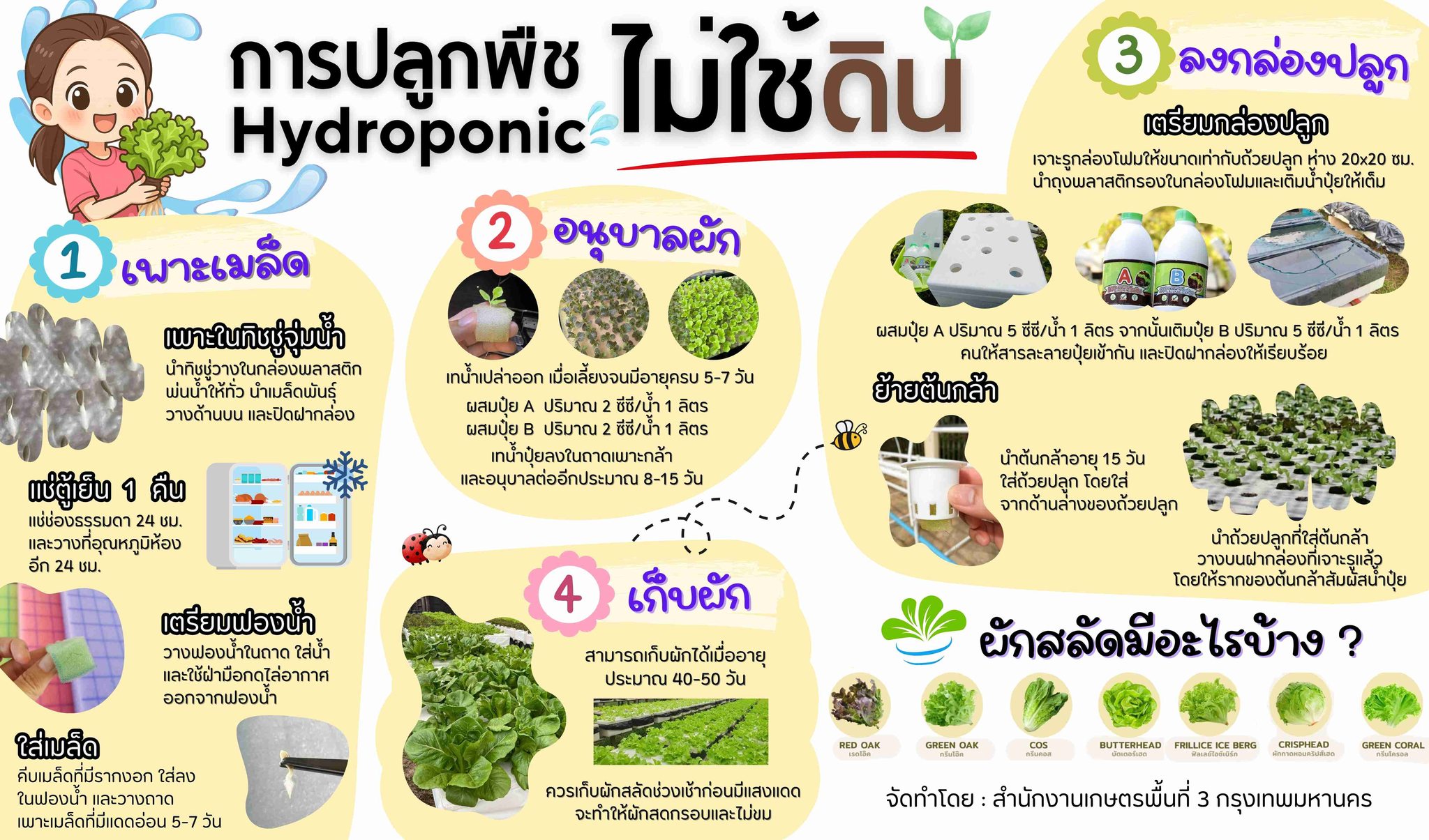 การปลูกพืชไม่ใช้ดิน Hydroponic การปลูกพืชไม่ใช้ดิน Hydroponic