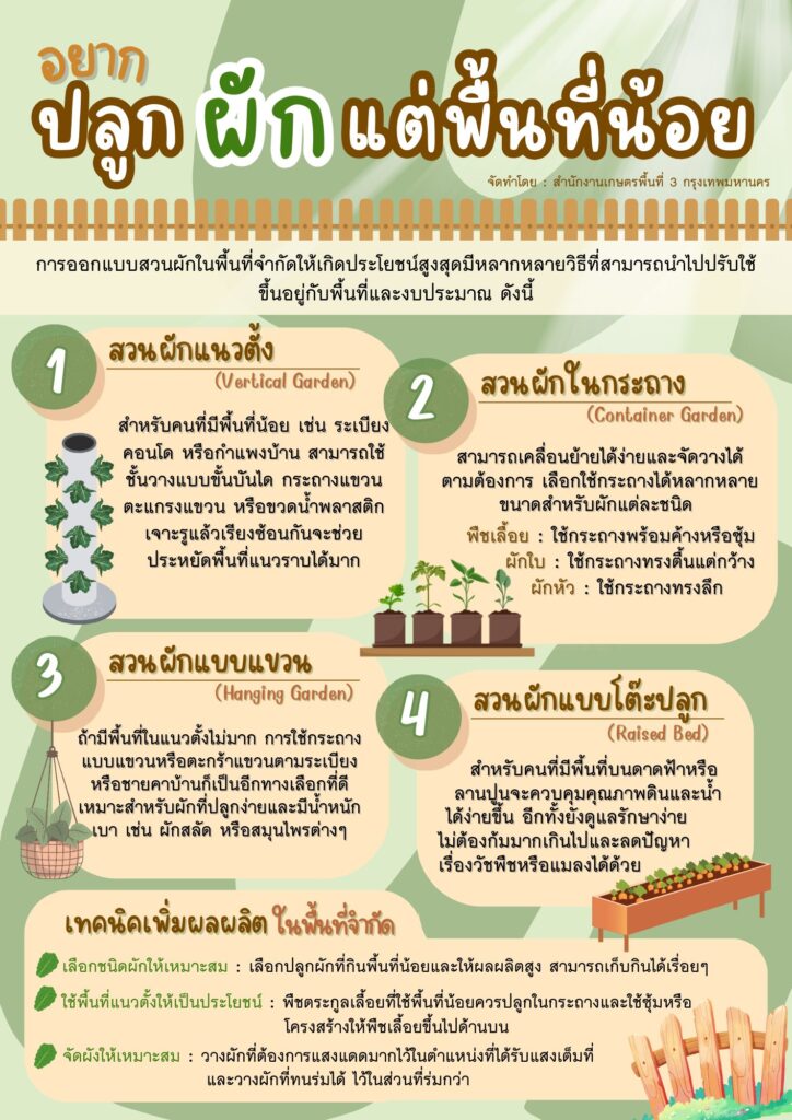 อยากปลูกผักแต่พื้นที่น้อย อยากปลูกผักแต่พื้นที่น้อย