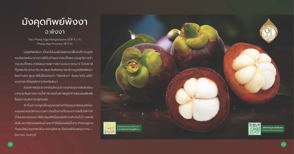 เรื่องเล่าเช้าวันจันทร์ "รู้จักมังคุด GI" เรื่องเล่าเช้าวันจันทร์ "รู้จักมังคุด GI"
