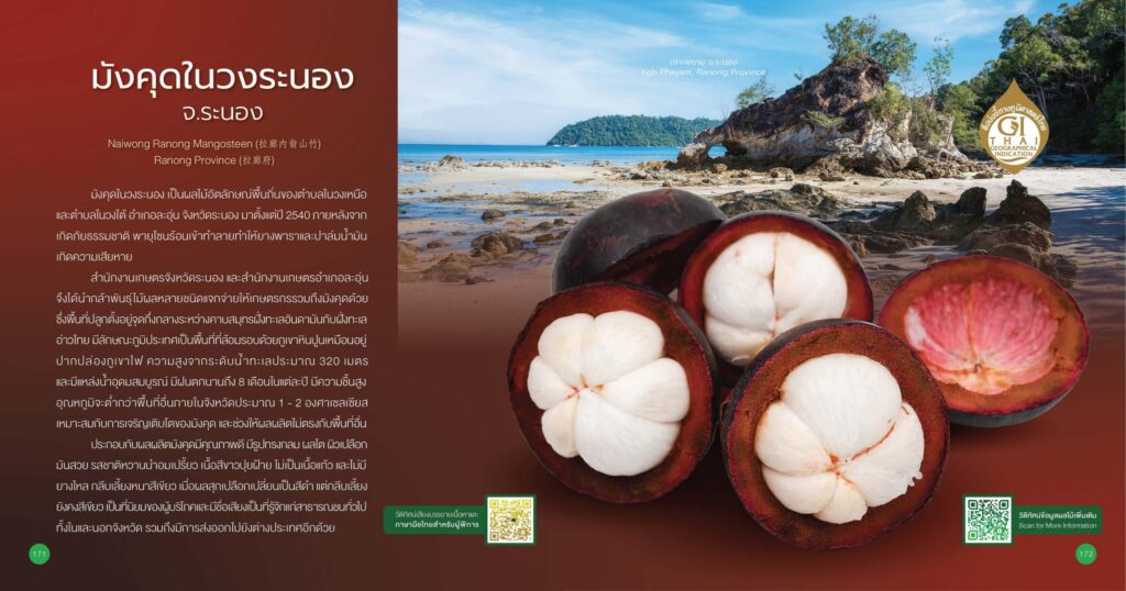 เรื่องเล่าเช้าวันจันทร์ "รู้จักมังคุด GI" เรื่องเล่าเช้าวันจันทร์ "รู้จักมังคุด GI"