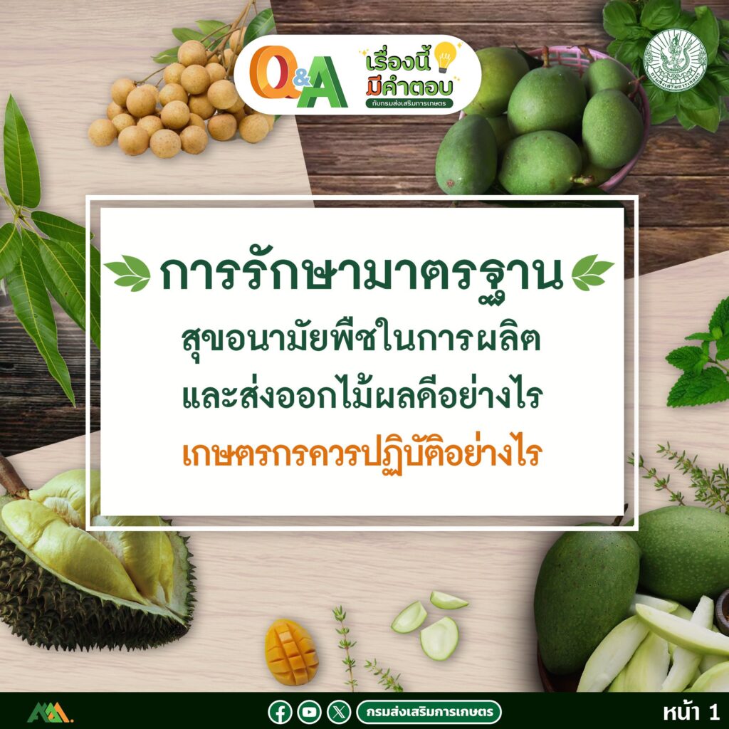 การรักษามาตรฐานสุขอนามัยพืชในการผลิตและส่งออกไม้ผลดีอย่างไร ตอนที่ 1 การรักษามาตรฐานสุขอนามัยพืชในการผลิตและส่งออกไม้ผลดีอย่างไร ตอนที่ 1