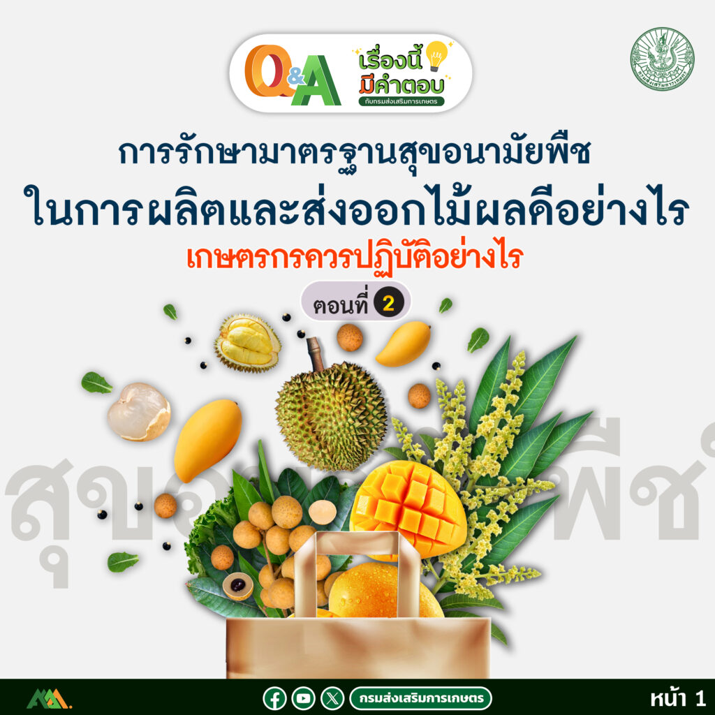 การรักษามาตรฐานสุขอนามัยพืชในการผลิตและส่งออกไม้ผลดีอย่างไร และเกษตรกรควรปฏิบัติอย่างไร มาทำความรู้จักกับสุขอนามัยพืชการส่งออกสินค้าไม้ผลกันเถอะ (ตอนที่ 2) การรักษามาตรฐานสุขอนามัยพืชในการผลิตและส่งออกไม้ผลดีอย่างไร และเกษตรกรควรปฏิบัติอย่างไร มาทำความรู้จักกับสุขอนามัยพืชการส่งออกสินค้าไม้ผลกันเถอะ (ตอนที่ 2)