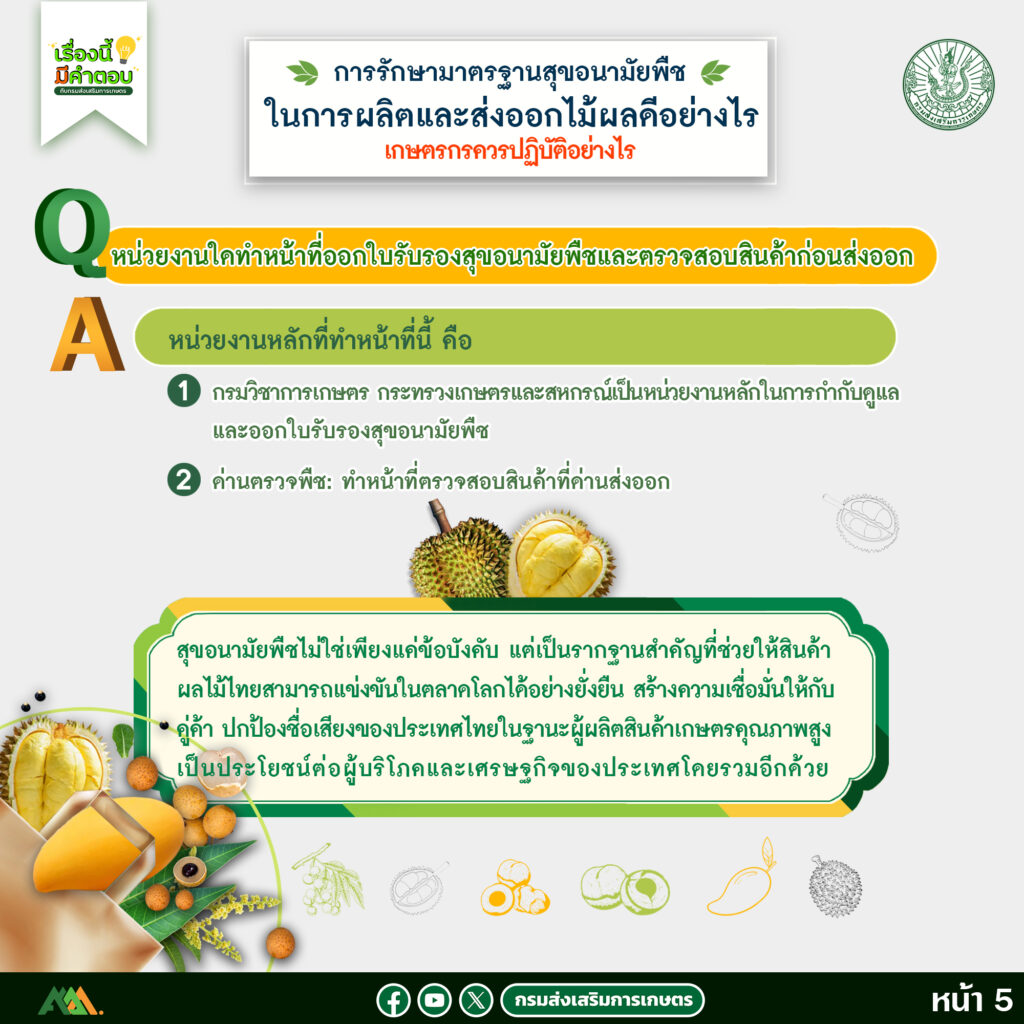 การรักษามาตรฐานสุขอนามัยพืชในการผลิตและส่งออกไม้ผลดีอย่างไร และเกษตรกรควรปฏิบัติอย่างไร มาทำความรู้จักกับสุขอนามัยพืชการส่งออกสินค้าไม้ผลกันเถอะ (ตอนที่ 2) การรักษามาตรฐานสุขอนามัยพืชในการผลิตและส่งออกไม้ผลดีอย่างไร และเกษตรกรควรปฏิบัติอย่างไร มาทำความรู้จักกับสุขอนามัยพืชการส่งออกสินค้าไม้ผลกันเถอะ (ตอนที่ 2)