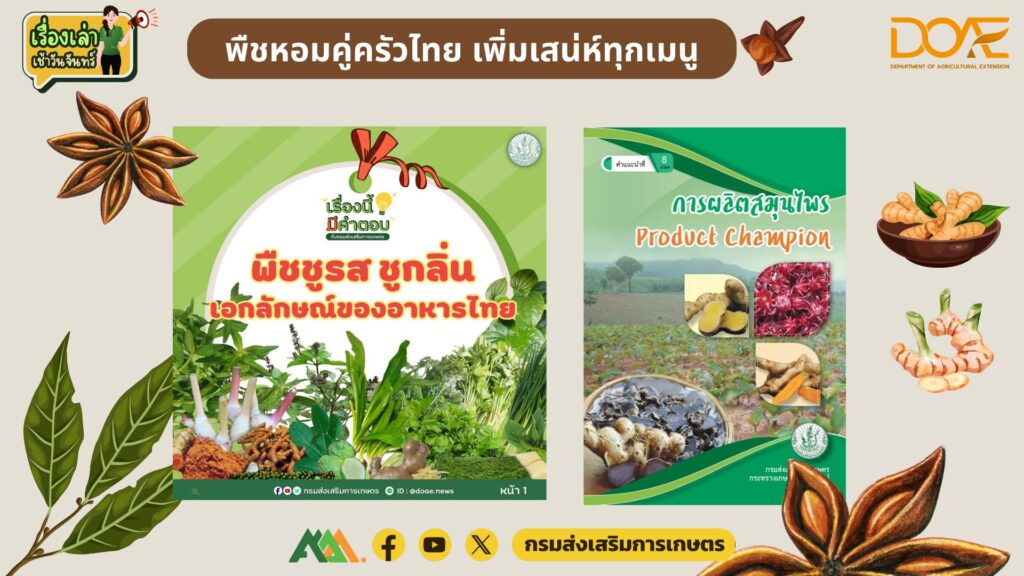 เรื่องเล่าเช้าวันจันทร์ "พืชหอมคู่ครัวไทย เพิ่มเสน่ห์ทุกเมนู"