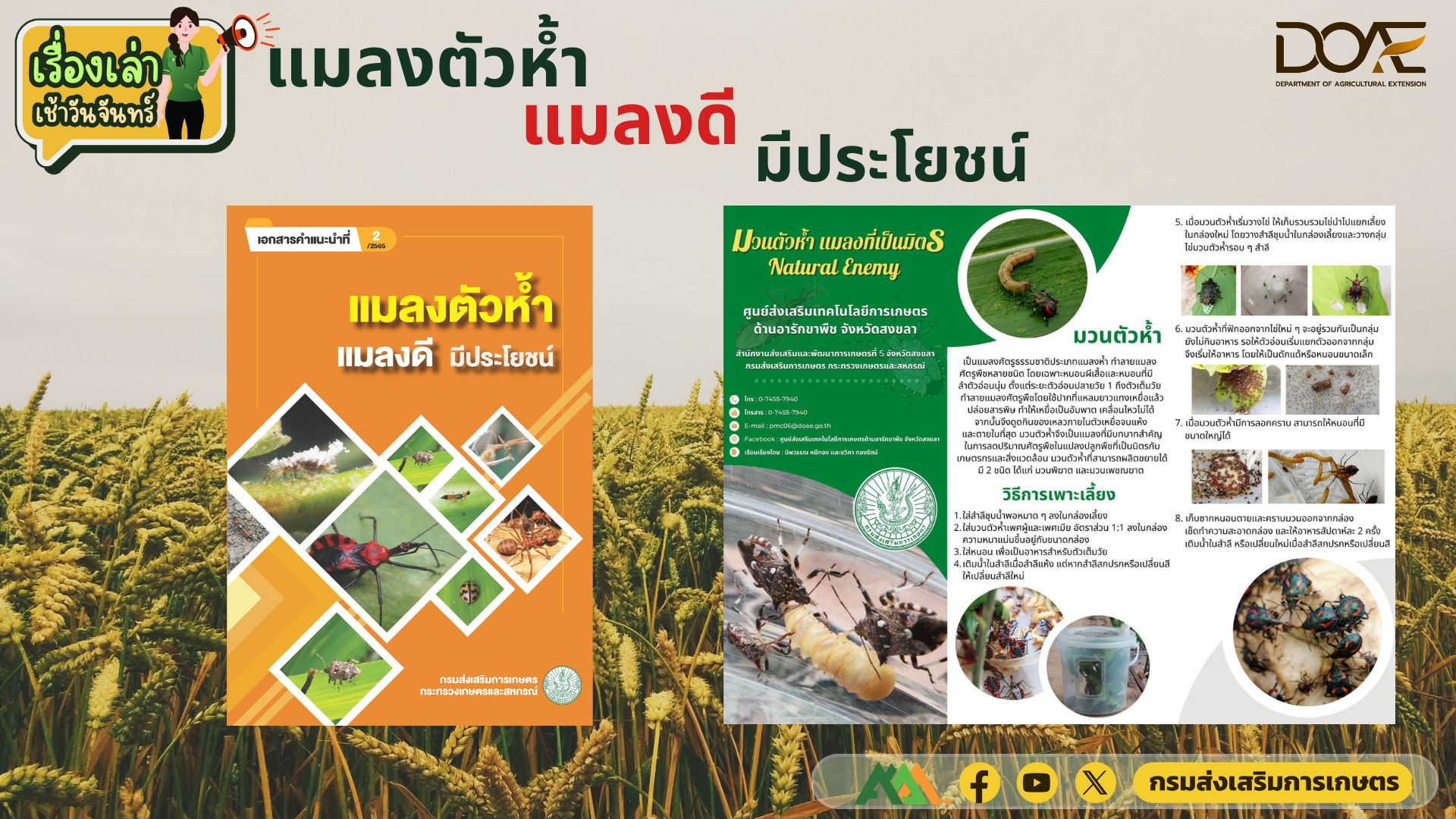 เรื่องเล่าเช้าวันจันทร์
