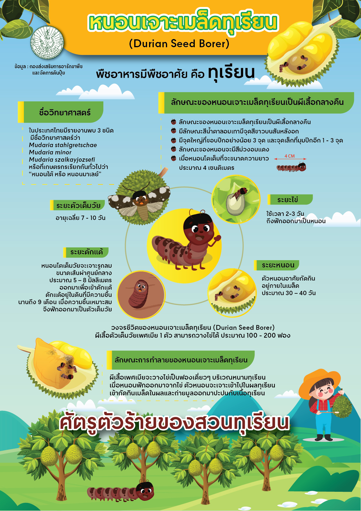 หนอนเจาะเมล็ดทุเรียน (Durian Seed Borer) หนอนเจาะเมล็ดทุเรียน (Durian Seed Borer)