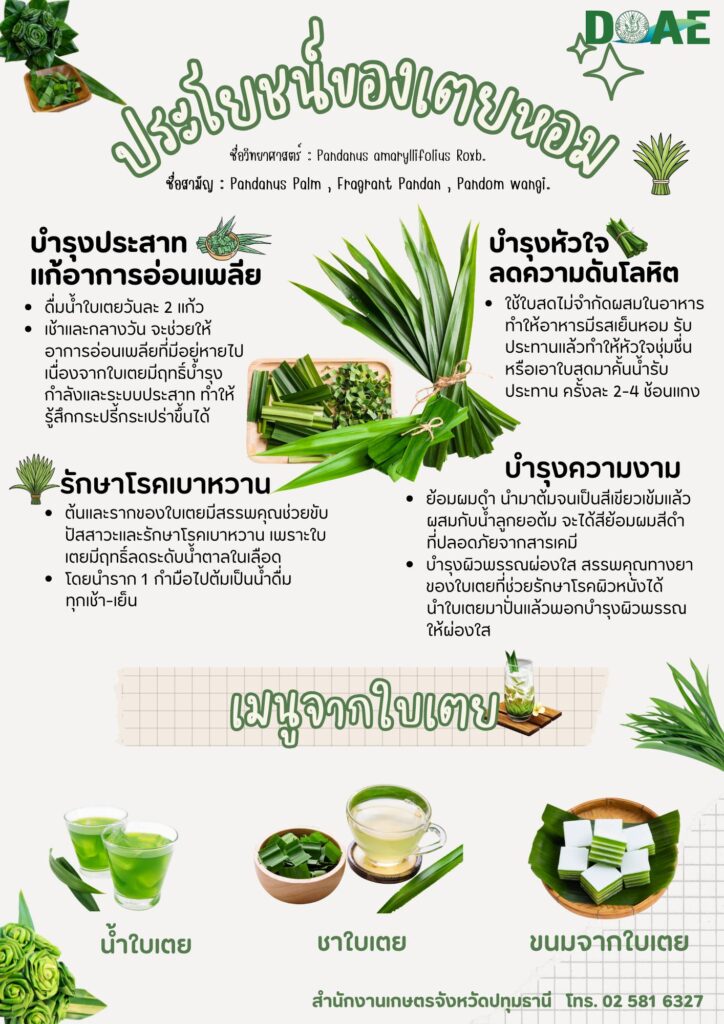 ประโยชน์ของเตยหอม