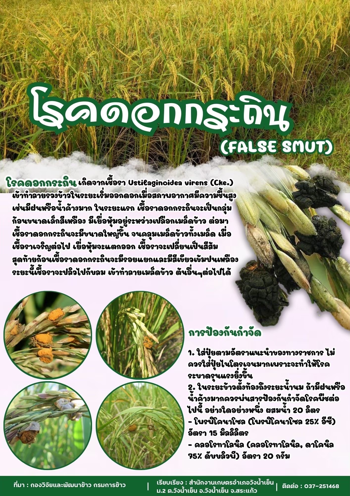 ศูนย์วิทยบริการเพื่อส่งเสริมการเกษตร - version - 2