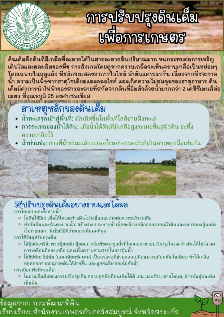 การปรับปรุงดินเค็มเพื่อการเกษตร การปรับปรุงดินเค็มเพื่อการเกษตร