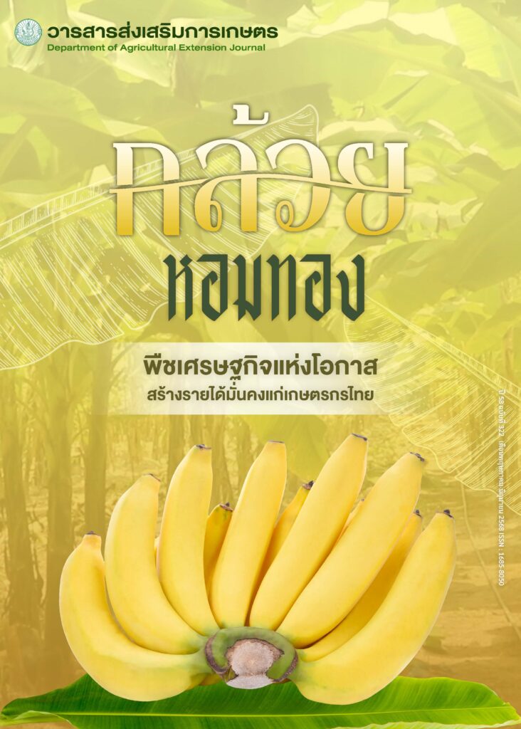 วารสารส่งเสริมการเกษตร ปีที่ 58 ฉบับที่ 322 (พฤษภาคม – มิถุนายน 2568) วารสารส่งเสริมการเกษตร ปีที่ 58 ฉบับที่ 322 (พฤษภาคม – มิถุนายน 2568)