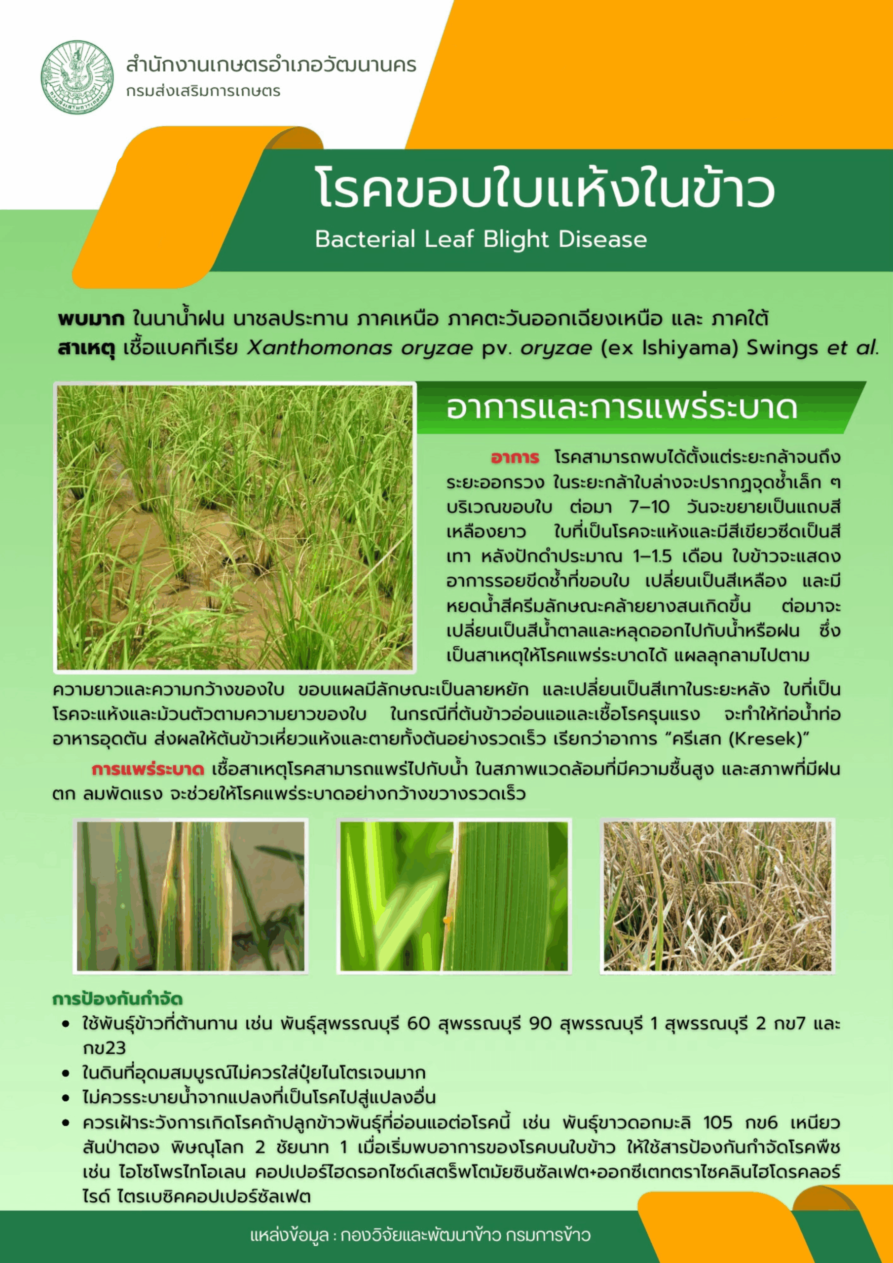 ศูนย์วิทยบริการเพื่อส่งเสริมการเกษตร - version - 2