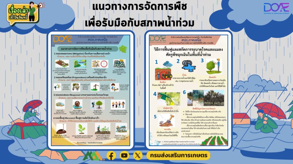 เรื่องเล่าเช้าวันจันทร์ “การจัดการพืชเพื่อรับมือกับสภาพน้ำท่วม” เรื่องเล่าเช้าวันจันทร์ “การจัดการพืชเพื่อรับมือกับสภาพน้ำท่วม”