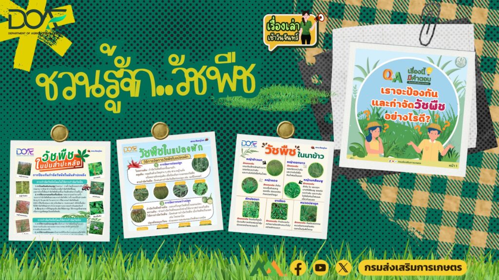 เรื่องเล่าเช้าวันจันทร์ "ชวนรู้จัก..วัชพืช" เรื่องเล่าเช้าวันจันทร์ "ชวนรู้จัก..วัชพืช"