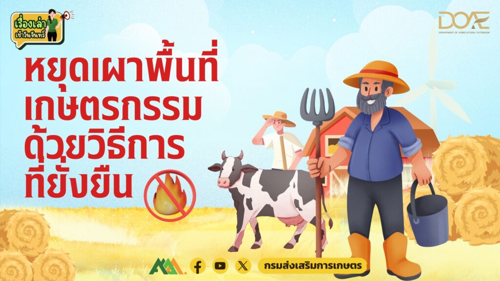 เรื่องเล่าเช้าวันจันทร์ “หยุดเผาพื้นที่เกษตรกรรมด้วยวิธีการที่ยั่งยืน” เรื่องเล่าเช้าวันจันทร์ “หยุดเผาพื้นที่เกษตรกรรมด้วยวิธีการที่ยั่งยืน”