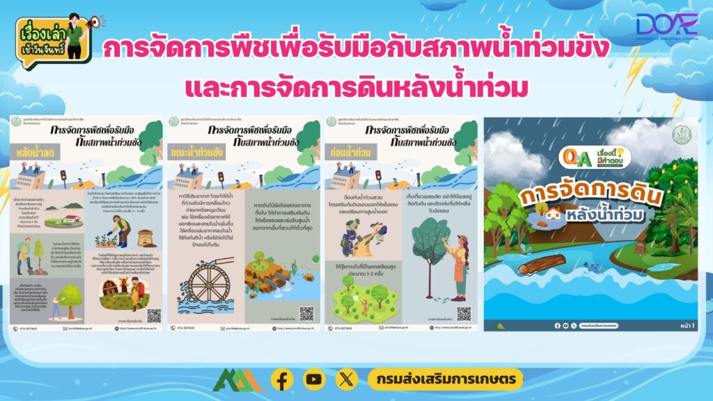 เรื่องเล่าเช้าวันจันทร์ “การจัดการพืชเพื่อรับมือกับสภาพน้ำท่วมขัง และการจัดการดินหลังน้ำท่วม เรื่องเล่าเช้าวันจันทร์ “การจัดการพืชเพื่อรับมือกับสภาพน้ำท่วมขัง และการจัดการดินหลังน้ำท่วม