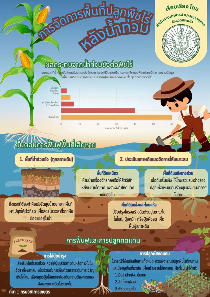 การจัดการพื้นที่ปลูกพืชไร่หลังน้ำท่วม การจัดการพื้นที่ปลูกพืชไร่หลังน้ำท่วม