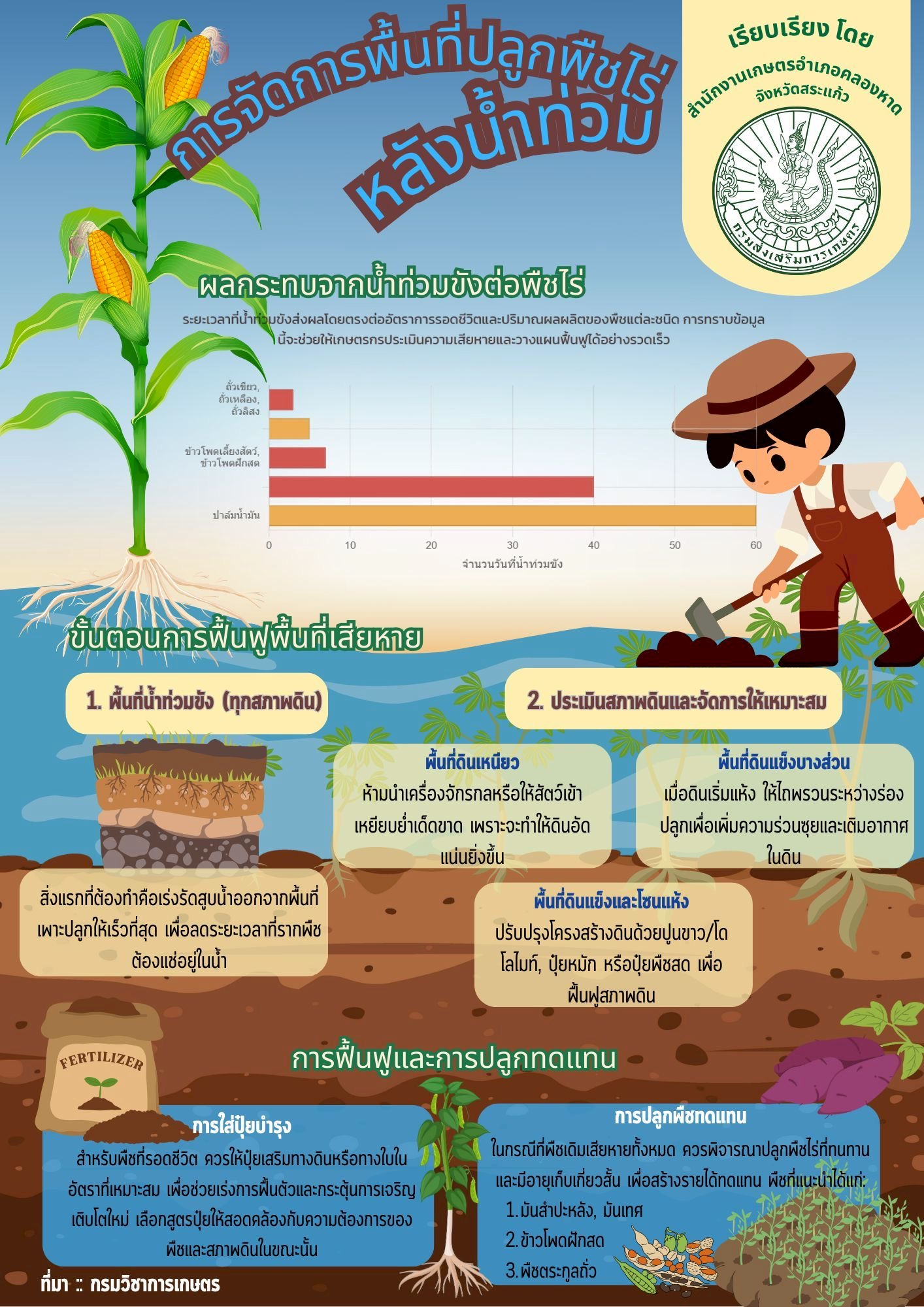 การจัดการพื้นที่ปลูกพืชไร่หลังน้ำท่วม การจัดการพื้นที่ปลูกพืชไร่หลังน้ำท่วม