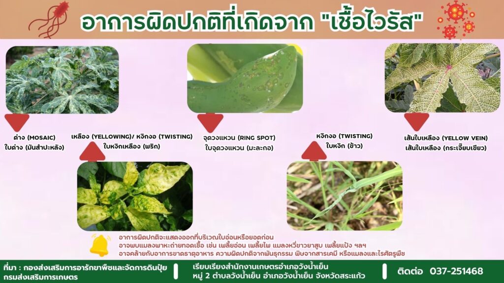 อาการผิดปกติที่เกิดจาก “เชื้อไวรัส”