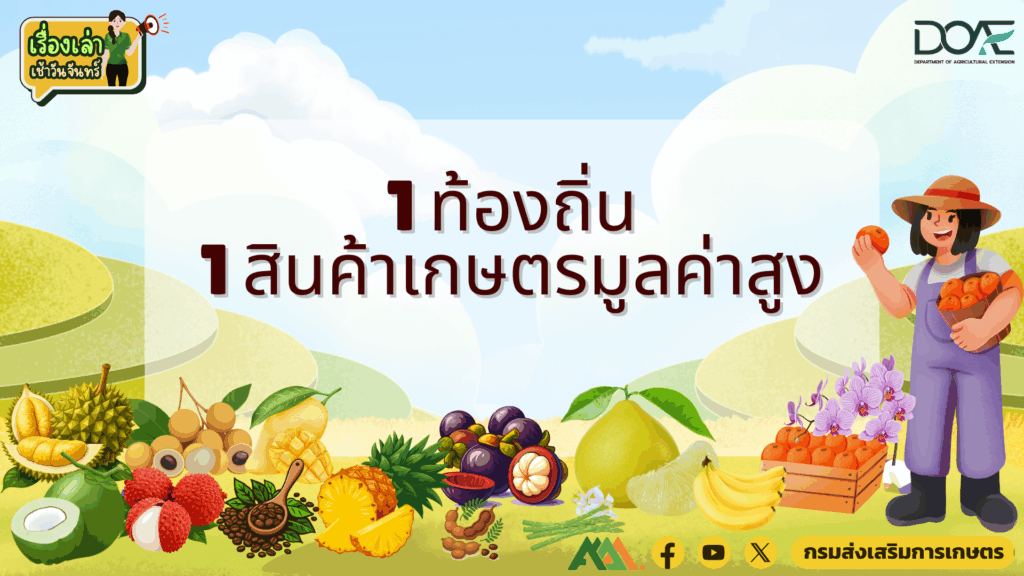 เรื่องเล่าเช้าวันจันทร์ "ชวนรู้จัก..เกษตรมูลค่าสูง" เรื่องเล่าเช้าวันจันทร์ "ชวนรู้จัก..เกษตรมูลค่าสูง"