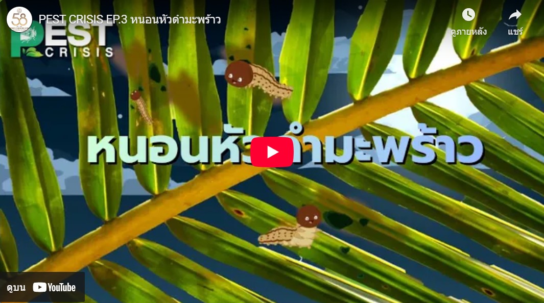 ศูนย์วิทยบริการเพื่อส่งเสริมการเกษตร - version - 2