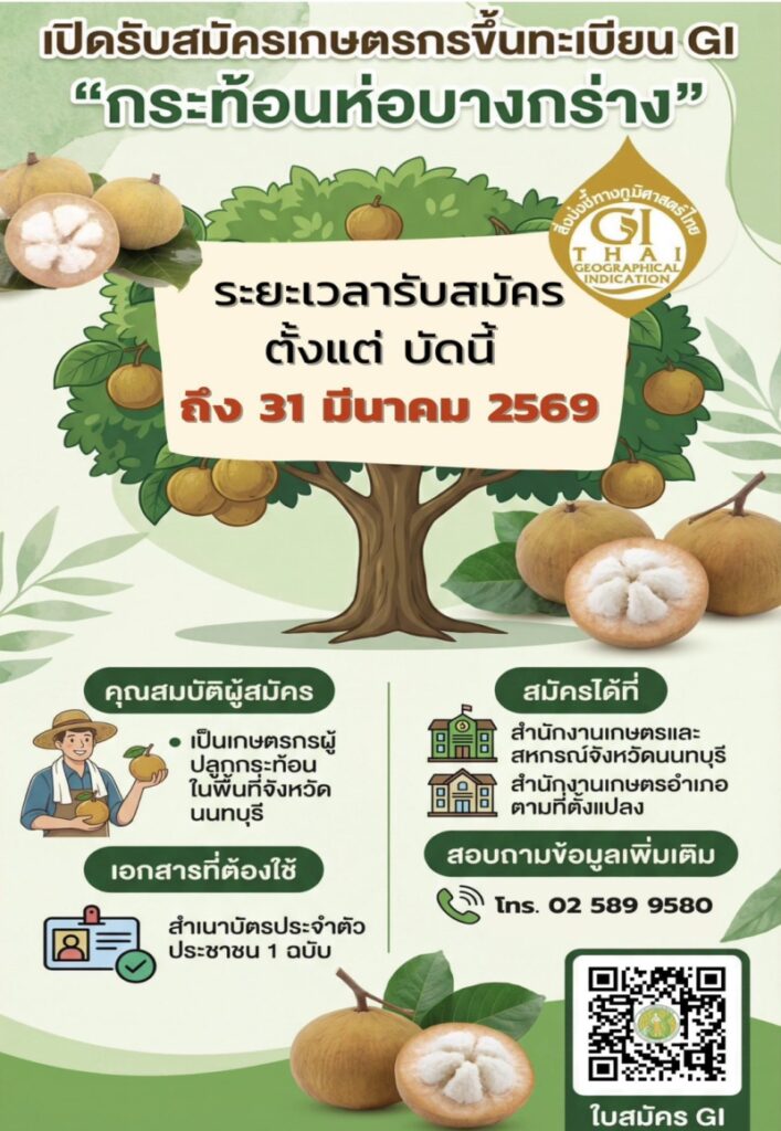 เปิดรับสมัครเกษตรกรขึ้นทะเบียน GI “กระท้อนห่อบางกร่าง” เปิดรับสมัครเกษตรกรขึ้นทะเบียน GI “กระท้อนห่อบางกร่าง”
