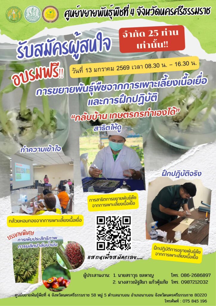 การขยายพันธุ์พืชจากการเพาะเลี้ยงเนื้อเยื่อและการฝึกปฏิบัติ