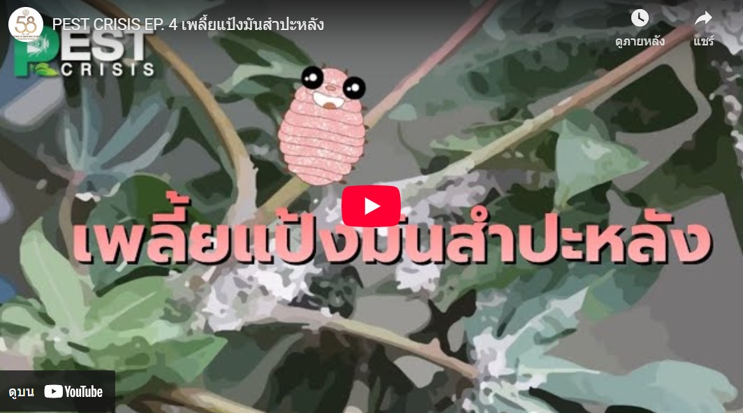 ศูนย์วิทยบริการเพื่อส่งเสริมการเกษตร - version - 2