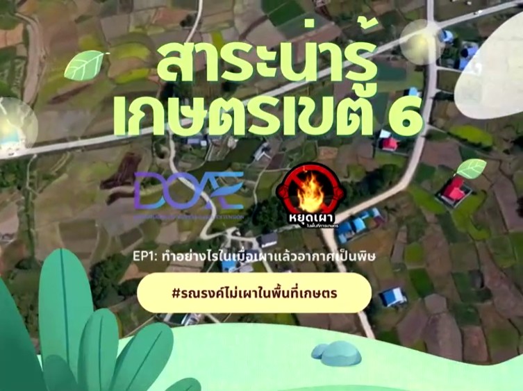 ทำอย่างไรในเมื่อเผาแล้วอากาศเป็นพิษ ทำอย่างไรในเมื่อเผาแล้วอากาศเป็นพิษ