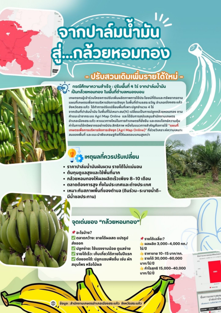 จากปาล์มน้ำมันสู่…กล้วยหอมทอง จากปาล์มน้ำมันสู่…กล้วยหอมทอง