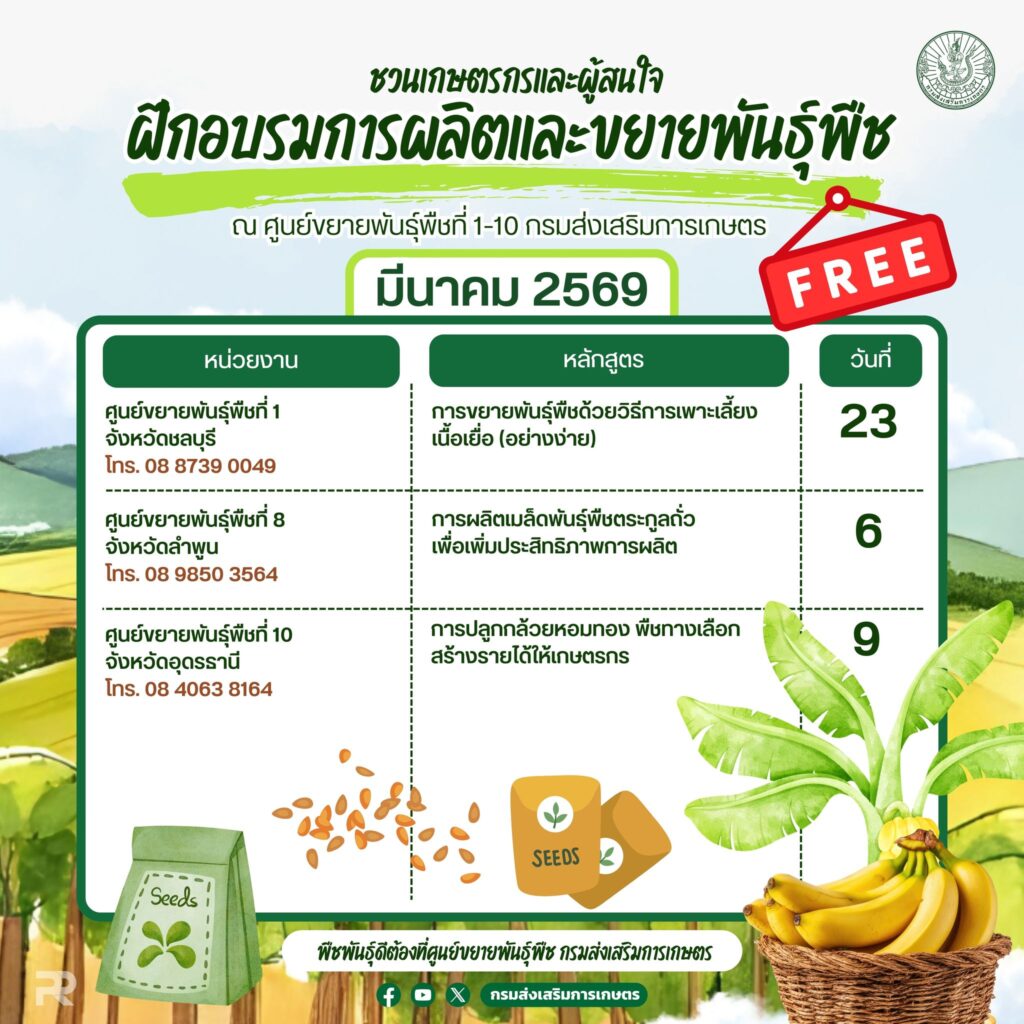 ฝึกอบรมการผลิตและขยายพันธุ์พืช ฟรี ! เดือนมีนาคม 2569 ฝึกอบรมการผลิตและขยายพันธุ์พืช ฟรี ! เดือนมีนาคม 2569