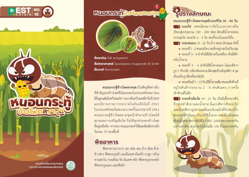 แผ่นพับที่ 10/2568 หนอนกระทู้ข้าวโพดลายจุด แผ่นพับที่ 10/2568 หนอนกระทู้ข้าวโพดลายจุด