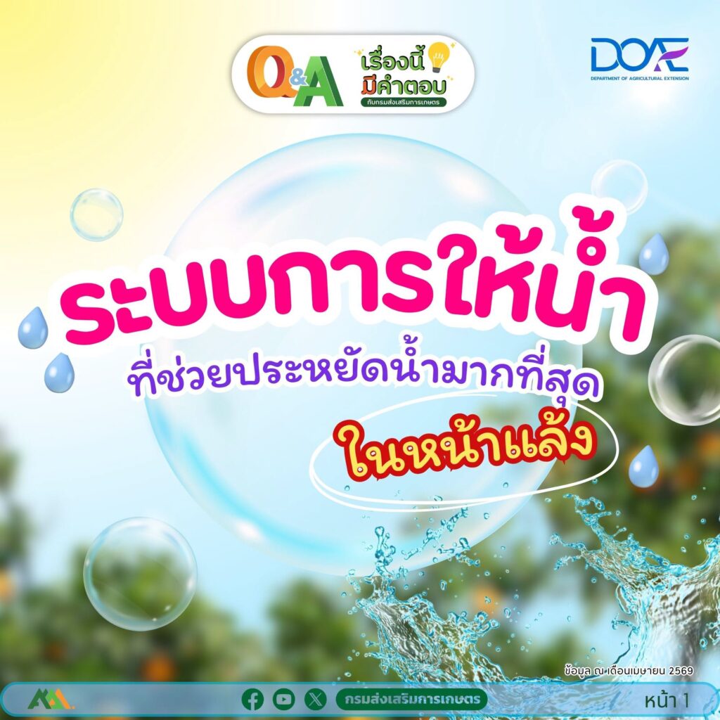 ระบบการให้น้ำ ที่ช่วยประหยัดน้ำมากที่สุดในหน้าแล้ง ระบบการให้น้ำ ที่ช่วยประหยัดน้ำมากที่สุดในหน้าแล้ง
