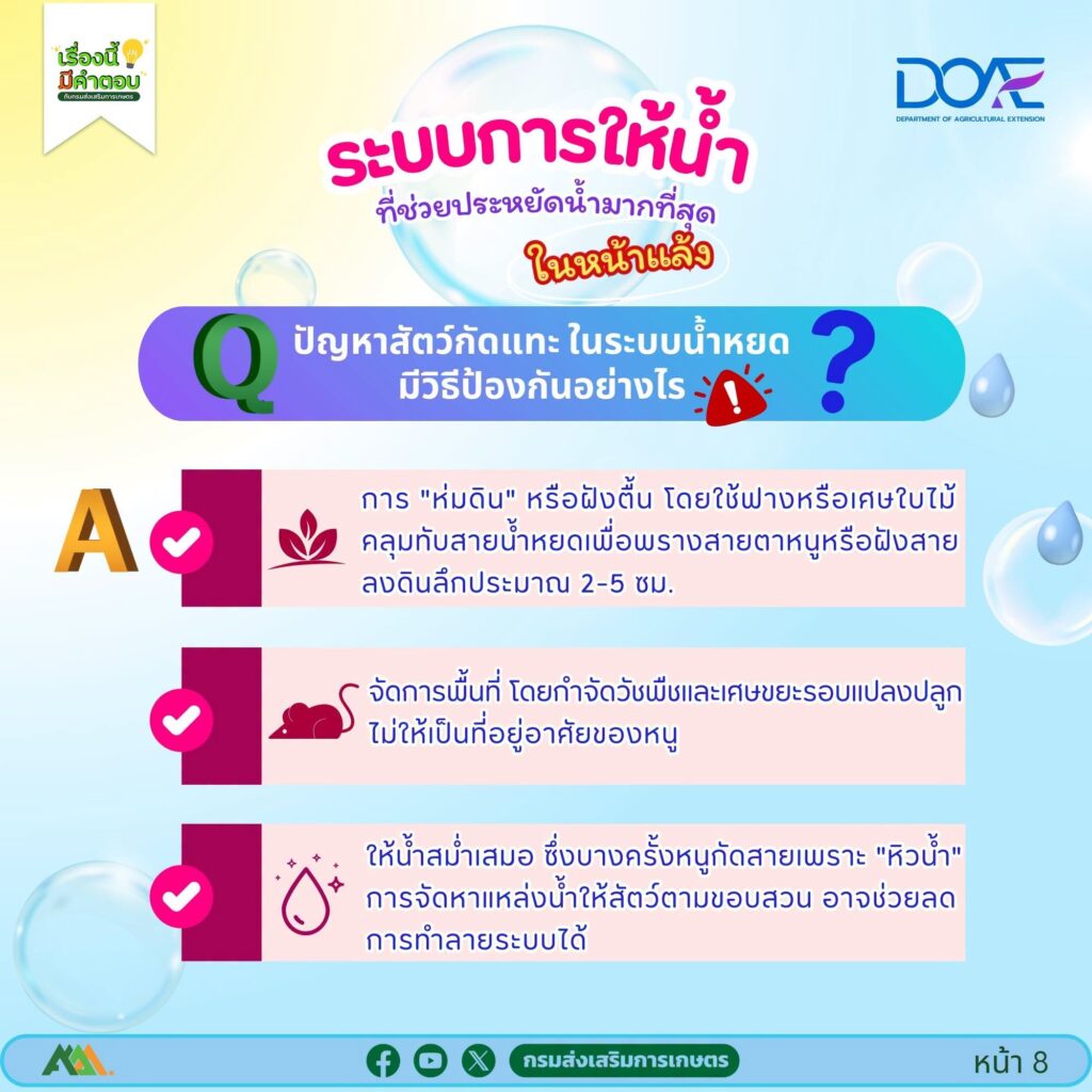 ระบบการให้น้ำ ที่ช่วยประหยัดน้ำมากที่สุดในหน้าแล้ง ระบบการให้น้ำ ที่ช่วยประหยัดน้ำมากที่สุดในหน้าแล้ง