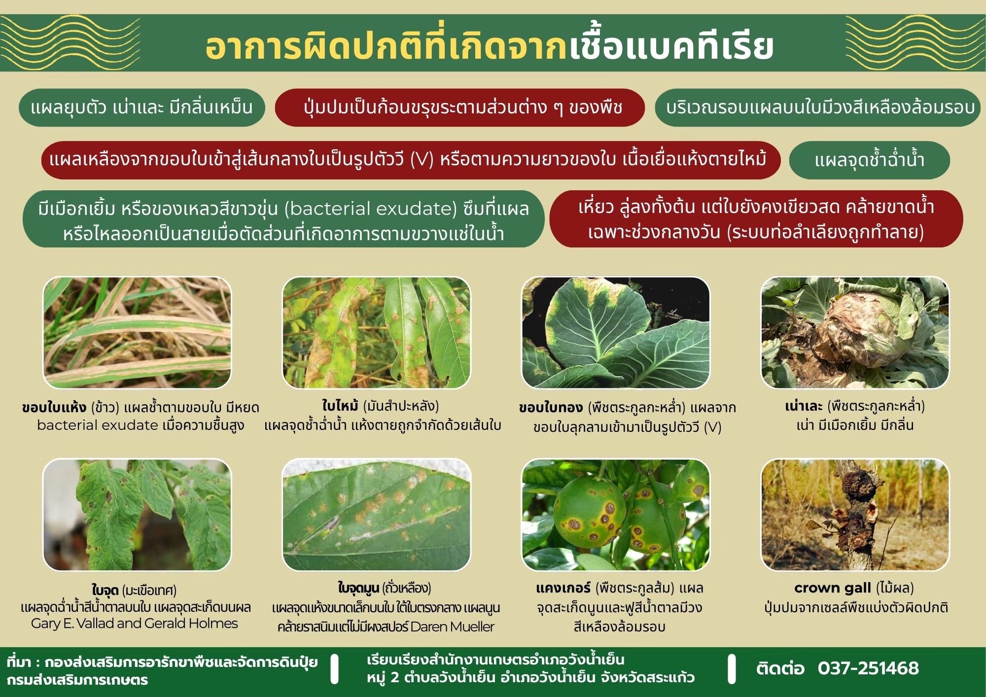 ข่าวประชาสัมพันธ์​