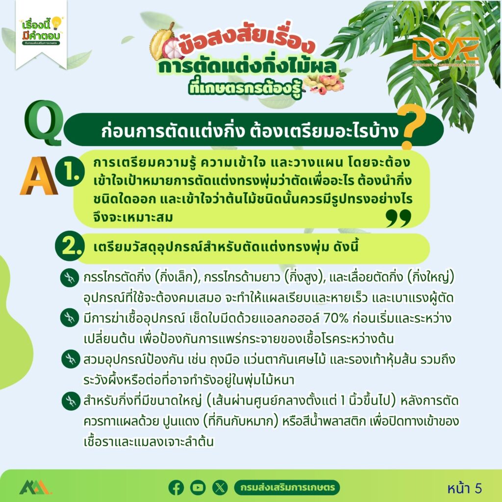 ข้อสงสัยการตัดแต่งกิ่งไม้ผลที่เกษตรกรต้องรู้