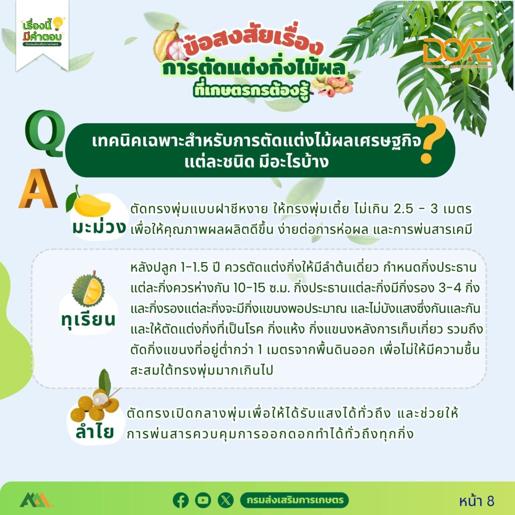 ข้อสงสัยการตัดแต่งกิ่งไม้ผลที่เกษตรกรต้องรู้