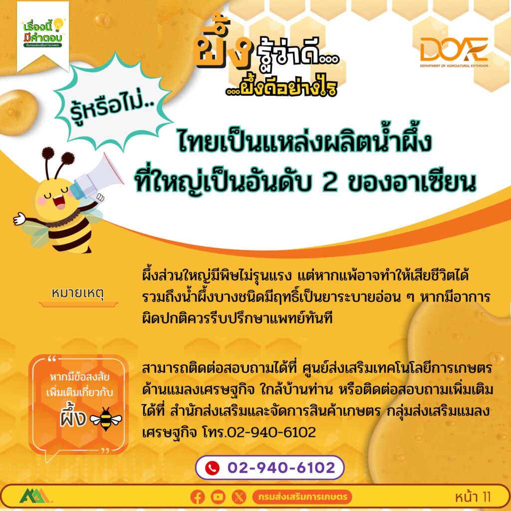 ผึ้งรู้ว่าดี…ผึ้งดีอย่างไร