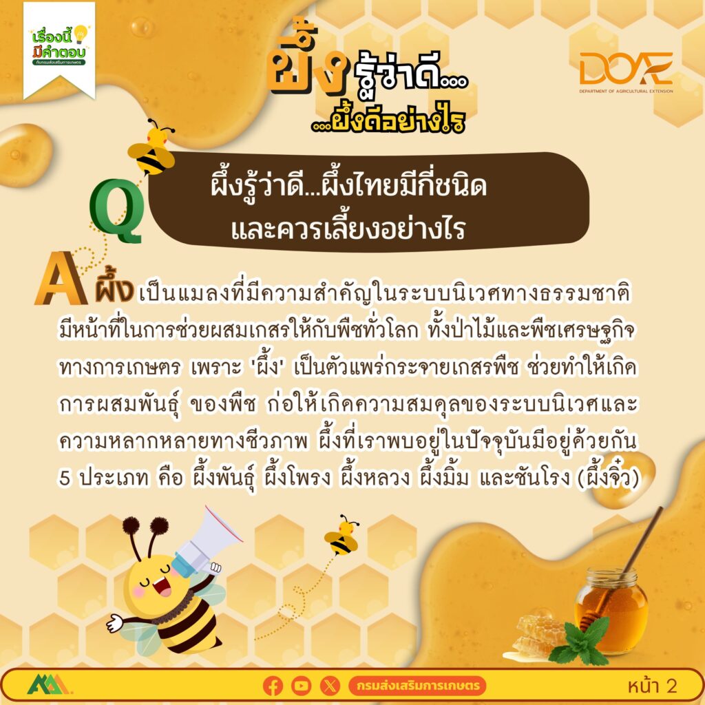 ผึ้งรู้ว่าดี…ผึ้งดีอย่างไร