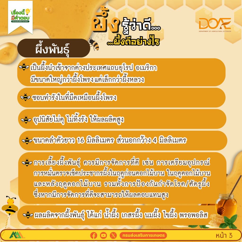 ผึ้งรู้ว่าดี…ผึ้งดีอย่างไร